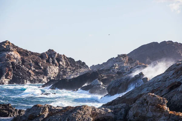 Paisagem Inverno Parque Natural Cap Creus Espanha — Fotografia de Stock