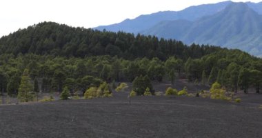 Llano del Jable, La Palma, Kanarya Adaları 'ndaki volkanik kumda 4x4 araç görüntüsü. 4K UHD