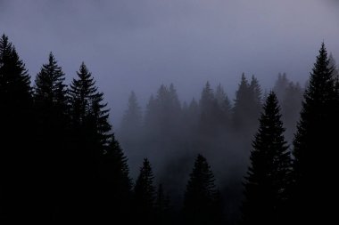 Dolomites dağlarında gün batımı, Alpler, kuzey İtalya. Avrupa