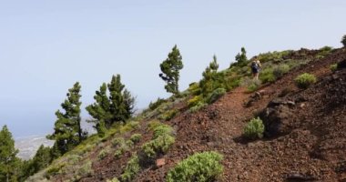 Birigoyo tepesine doğru yürüyen genç bir kadın, La Palma Adası, Kanarya Adaları. 4K UHD