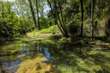 Salt Dels 'de bahar Murris şelalesi, La Garrotxa, Girona, İspanya.