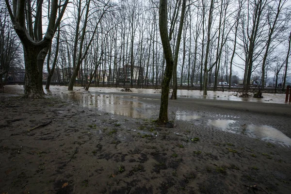 Floods Olot Town Garrotxa Girona Spain January 2020 — Stock Photo, Image