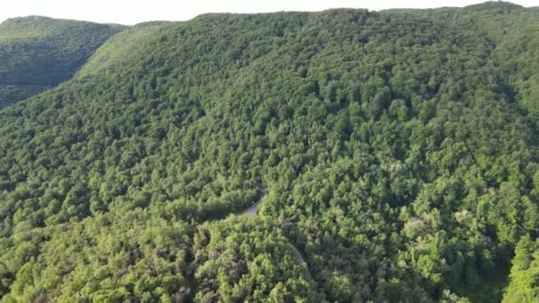 Escena Aérea Con Dron Del Paisaje Primaveral Vall Bas Garrotxa — Vídeos de Stock