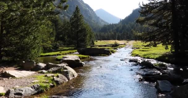 Summer Landscape Young Woman Aiguestortes Sant Maurici National Park Spain — Video Stock