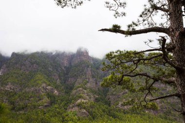 Cumprecita, Caldera De Taburiente, La Palma Adası, Kanarya Adaları, İspanya