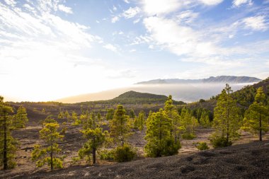 Llano del Jable 'da bahar günbatımı, La Palma Adası, Kanarya Adaları, İspanya.