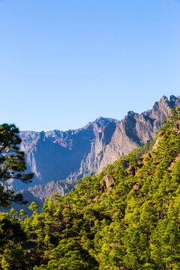 Cumprecita, Caldera De Taburiente, La Palma Adası, Kanarya Adaları, İspanya