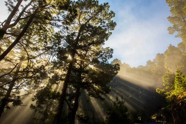 Spring Sunset Caldera Taburiente Palma Island Canary Islands Spain — Stock Photo, Image