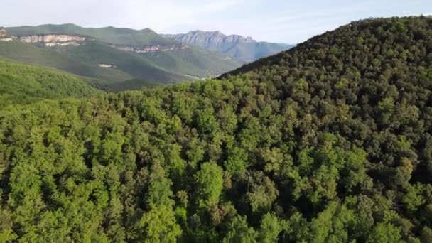 Scena Aerea Con Drone Del Paesaggio Primaverile Garrotxa Girona Spagna — Video Stock