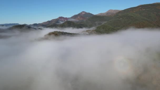 Luchtfoto Met Drone Van Het Herfstlandschap Sant Joan Les Abadesses — Stockvideo