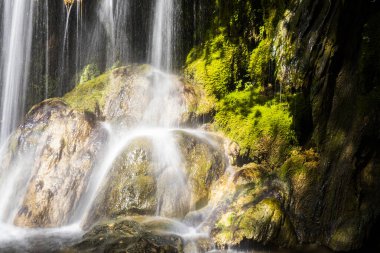 Salt Dels 'de bahar Murris şelalesi, La Garrotxa, Girona, İspanya.