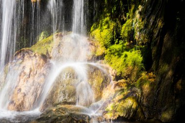 Salt Dels 'de bahar Murris şelalesi, La Garrotxa, Girona, İspanya.