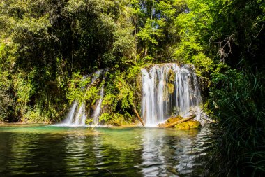 Salt Dels 'de bahar Murris şelalesi, La Garrotxa, Girona, İspanya.