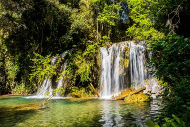 Salt Dels 'de bahar Murris şelalesi, La Garrotxa, Girona, İspanya.