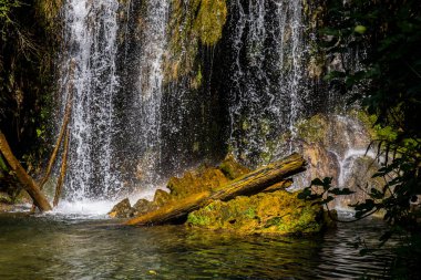 Salt Dels 'de bahar Murris şelalesi, La Garrotxa, Girona, İspanya.