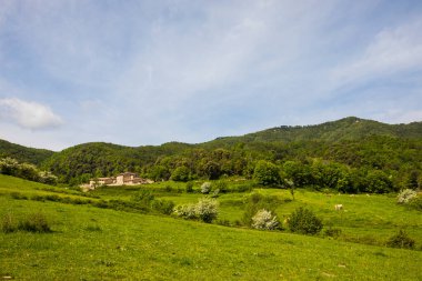 Falgars D En Bas, La Garrotxa, İspanya 'da bahar manzarası.