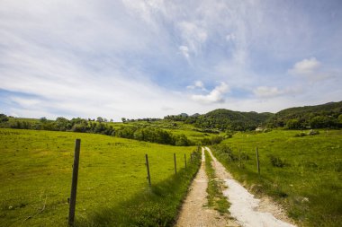 Falgars D En Bas, La Garrotxa, İspanya 'da bahar manzarası.