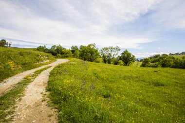 Falgars D En Bas, La Garrotxa, İspanya 'da bahar manzarası.