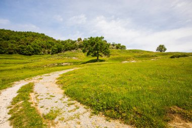 Falgars D En Bas, La Garrotxa, İspanya 'da bahar manzarası.