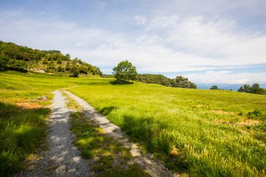 Falgars D En Bas, La Garrotxa, İspanya 'da bahar manzarası.