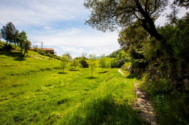 Falgars D En Bas, La Garrotxa, İspanya 'da bahar manzarası.