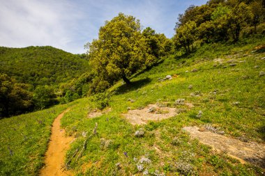 Falgars D En Bas, La Garrotxa, İspanya 'da bahar manzarası.