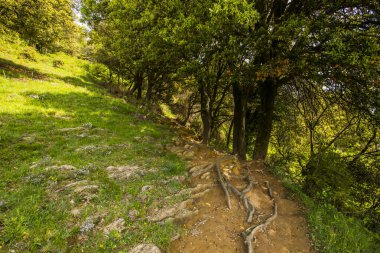 Falgars D En Bas, La Garrotxa, İspanya 'da bahar manzarası.
