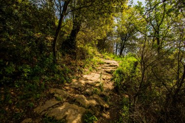 Falgars D En Bas, La Garrotxa, İspanya 'da bahar manzarası.