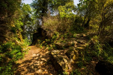 Falgars D En Bas, La Garrotxa, İspanya 'da bahar manzarası.