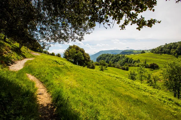 Voorjaarslandschap Falgars Bas Garrotxa Spanje — Stockfoto