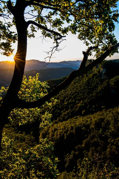 Nascente Primavera Cachoeira Salt Coromina Garrotxa Espanha — Fotografia de Stock