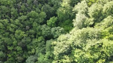 La Garrotxa, Girona, İspanya 'daki bahar manzarasının insansız hava aracı görüntüsü. 4K UHD