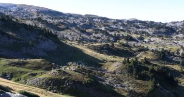 Anie tepesinde yaz manzarası ve koyunlar, Navarra, Pireneler, İspanya