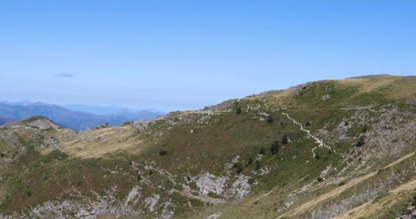 Letni Krajobraz Owce Anie Peak Navarra Pireneje Hiszpania — Wideo stockowe
