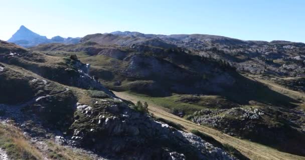 Летний Пейзаж Овцы Пике Ани Наварра Пиренеи Испания — стоковое видео
