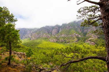 Cumprecita, Caldera De Taburiente, La Palma Adası, Kanarya Adaları, İspanya