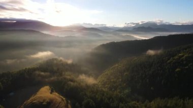 Aerial scene with drone of the summer landscape in Navarra, Pyrenees, Spain. 4K UHD