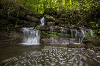 La Garrotxa, Girona, İspanya 'da bahar şelalesi.