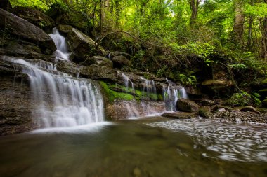 La Garrotxa, Girona, İspanya 'da bahar şelalesi.
