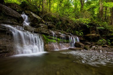La Garrotxa, Girona, İspanya 'da bahar şelalesi.