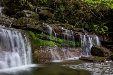 La Garrotxa, Girona, İspanya 'da bahar şelalesi.