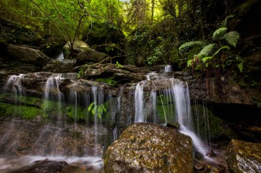 La Garrotxa, Girona, İspanya 'da bahar şelalesi.