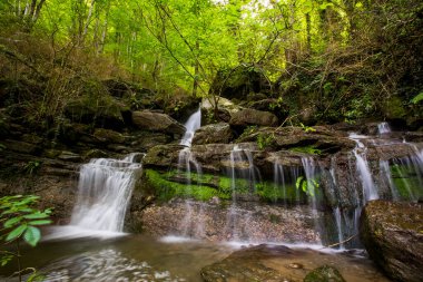 La Garrotxa, Girona, İspanya 'da bahar şelalesi.