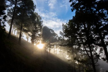 Caldera de Taburiente 'de bahar günbatımı, La Palma Adası, Kanarya Adaları, İspanya