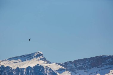 Akbaba uçuşu La Cerdanya, Lleida, Pireneler, Katalonya, Kuzey İspanya