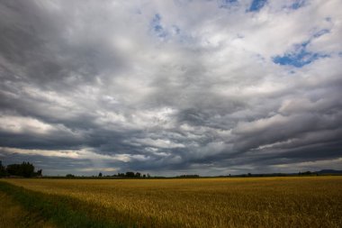 La Cerdanya, Pireneler, Girona, Katalonya, İspanya 'da dramatik bulutlar ve fırtına