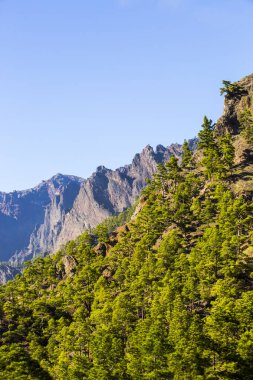 Cumprecita, Caldera De Taburiente, La Palma Adası, Kanarya Adaları, İspanya