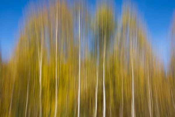 西班牙比利牛斯 Ripolles Camprodon的秋季场景 — 图库照片
