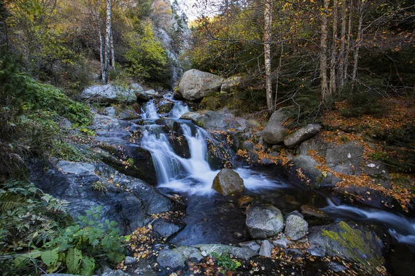 Autumn Scene Camprodon Ripolles Pyrenees Spain — Stock Photo, Image