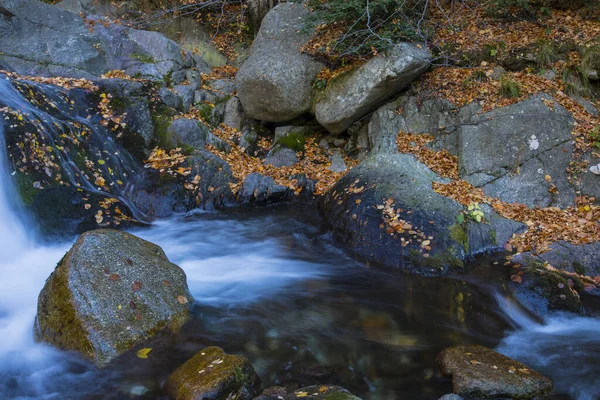 Scena Jesienna Camprodon Ripolles Pireneje Hiszpania — Zdjęcie stockowe